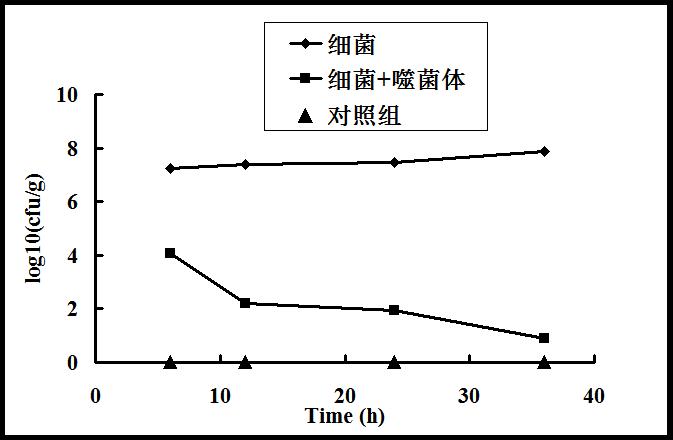 图3 杀菌效果.jpg